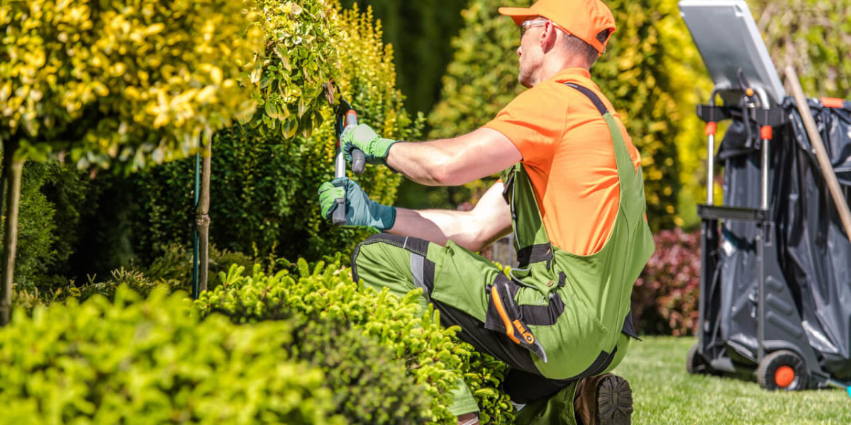 Garden Maintenance: The Key to a Thriving Outdoor Space