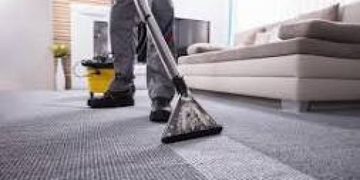 Professional Carpet Cleaning: A Pillar of Elegant Home Design