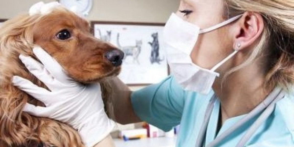 Titer Testing for Dogs: An Alternative to Annual Vaccinations