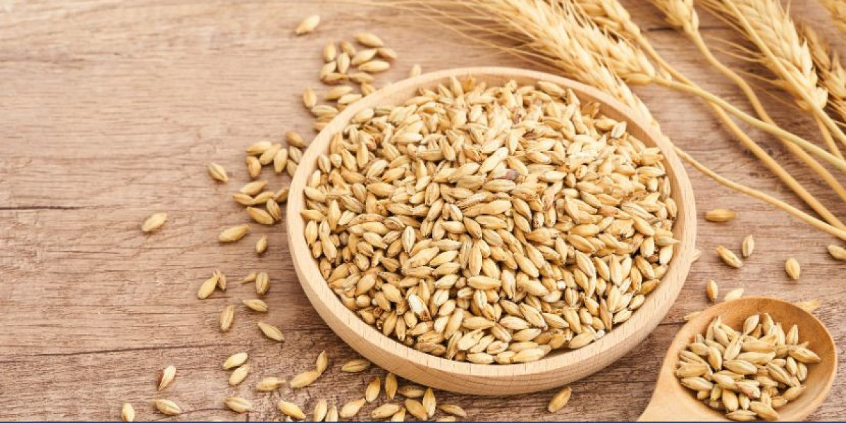 Barley Market Demand, Size, Share, Growth and Industry Report | 2034