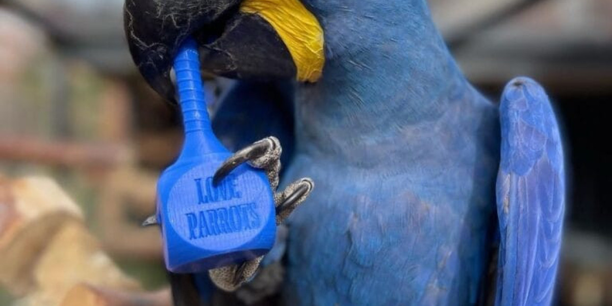 What's The Current Job Market For Chestnut Fronted Macaw Professionals Like?