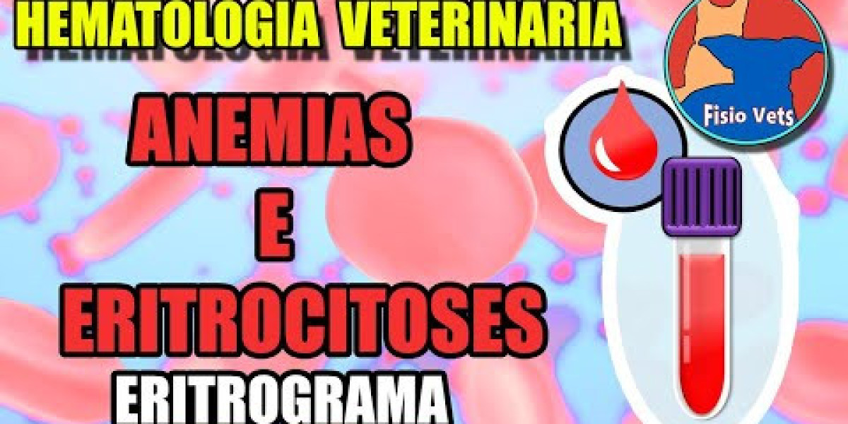 Impacto da Alimentação nos Níveis de Ureia: Cuide da Saúde do Seu Pet!